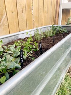 some plants are growing in a metal planter