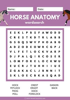 the horse anatomy word search is shown