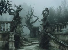 an old cemetery in the fog with vines growing out of it's gates and trees