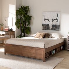 a bed sitting on top of a wooden floor next to a plant in a bedroom