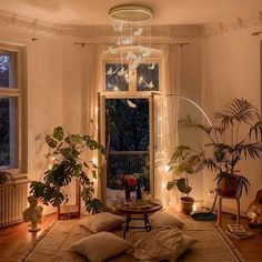 a living room filled with furniture and lots of plants