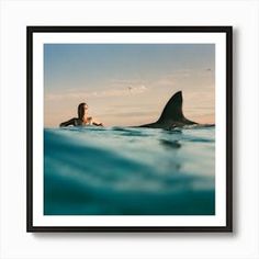 a woman swimming in the ocean with a shark fin above her head, framed print