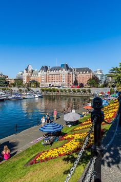 people are sitting on the grass by the water in front of some buildings and boats