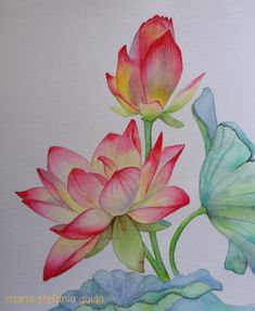 a watercolor painting of two flowers in a pond with lily pads on the bottom