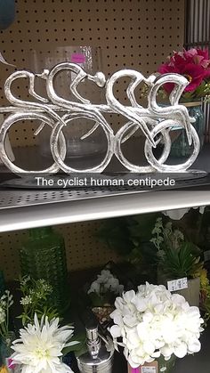 there are many flowers and vases on the shelves in this store that is selling bicycles