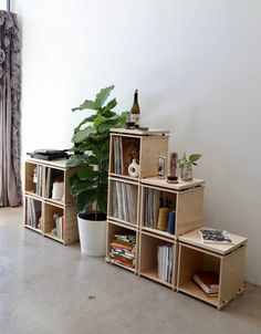 a plant in a pot sitting on top of a wooden shelf filled with books and magazines