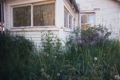 an old house with weeds growing in front of it and the window on the side