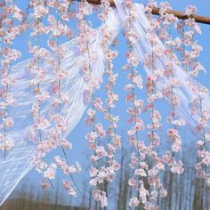 pink flowers are hanging from a tree branch with plastic bags on it's branches