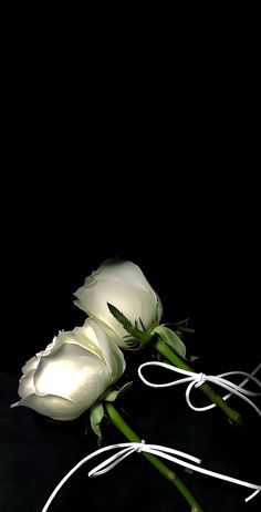 two white roses on a black surface with string and wire attached to the stems, in front of a black background