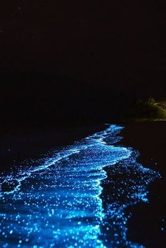 the water is glowing blue at night on the beach with stars in the sky above