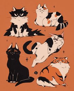 four cats are sitting in different positions on an orange background, one is black and the other is white