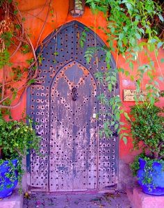 an old door is surrounded by potted plants and greenery with a quote that reads, oh if only you were my door