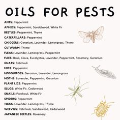 Essential Oils For Fleas, Essential Oil Spray Recipes, Essential Oil Remedy, Essential Oils Guide, Essential Oil Spray