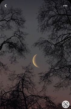 the moon is seen through some trees in the night sky with no leaves on it