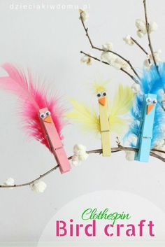 three birds made out of popsicle sticks on a branch with cotton flowers and cotton balls