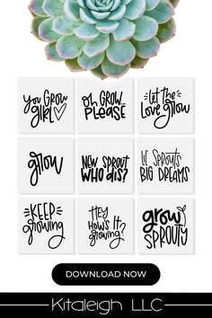 an image of a flower with the words written in different font styles and colors on it