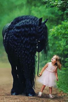 #horse #cutehorse #horsepictures #horsewithgirl #horsebeautiful #blackhorse #polo #horseaddict #horselove #majestichorse #horsecrazy Drawing Horse, Rare Horses, Regnul Animal, Beautiful Horses Photography, Beautiful Horse Pictures, Girl Smile, Black Horses