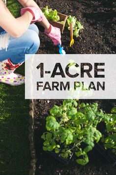 a woman kneeling down next to a garden filled with plants and gardening tools, text overlay reads 1 - acre farm plan