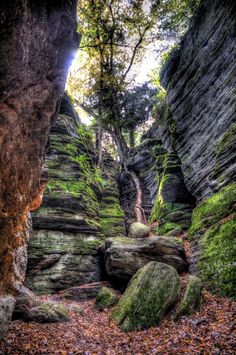 the rocks are covered in moss and leaves