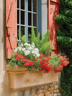 red and white flowers are in a window box