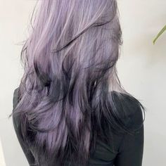 Black To Lavender Hair, Grayish Purple Hair, Purple Halo Hair, Ashy Purple Hair, Fox Dyed Hair, Pale Purple Hair, Cool Hair Dye Ideas, Alt Hair Colors, Purple Highlights Brown Hair