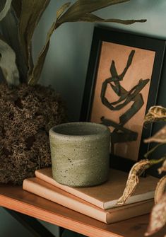 a potted plant sitting on top of a wooden shelf next to books and a framed photograph