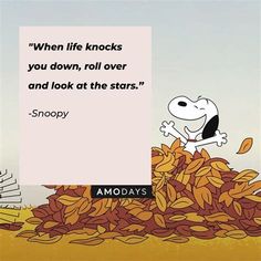 peanuts sitting on top of a pile of leaves next to a sign that says, when life knocks you down, roll over and look at the stars