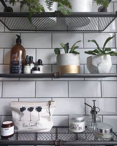 shelves with plants and personal care products on them