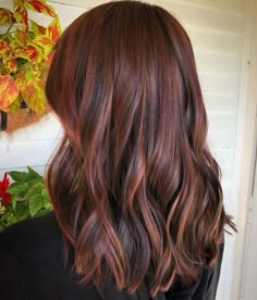 Mahogany Brown Hair Color With Highlights, Warm Red Highlights In Brown Hair, Low Maintenance Red Brown Hair, Mohagany Brown Hair Color, Green Eye Hair Color Ideas, Best Hair Colors For Brown Eyes, Auburn Hair Green Eyes, Mahogany Hair Color With Highlights, Red Undertone Hair Brown Highlights