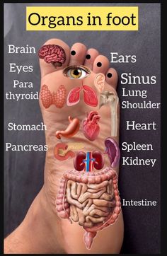 Eye Health Remedies, Healing Reflexology, Pressure Point Therapy, Reflexology Foot Chart, Foot Reflexology Massage, Body Massage Techniques, Hand Reflexology, Reflexology Chart, Reflexology Massage