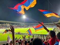 many people are holding flags in the air at a soccer game, while others watch