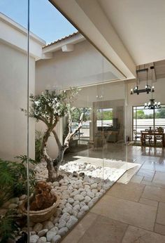 the interior of a house with a bonsai tree and rocks in the foreground