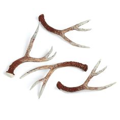 three deer antlers with long horns on white background