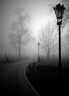 a park bench sitting on the side of a road next to a lamp post and street light