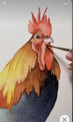 a drawing of a rooster with watercolors on it's face and tail