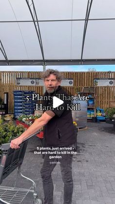 Winter Plants, Gardening 101, Plant Ideas, Garden Centre, Container Gardens, Gardening Advice, Low Maintenance Plants, Fruit Garden, Garden Flowers