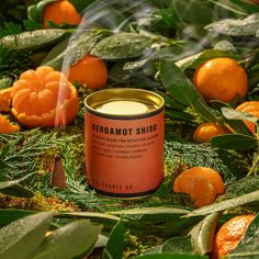 an orange candle is surrounded by leaves and other things that are in the foreground