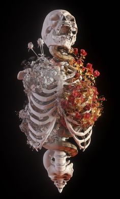 an image of a skeleton with flowers in it's back end and the ribs exposed