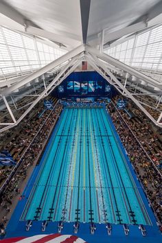 an overhead view of the olympic swimming pool