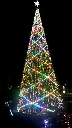 a large christmas tree is lit up at night