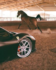 a horse is running behind a car in an indoor area with dirt on the ground