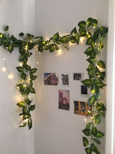 some green plants are hanging on the wall with pictures and lights around them, along with other greenery