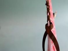 a close up of a pink and brown object with a long ribbon on it's end