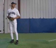 a baseball player is standing on the field