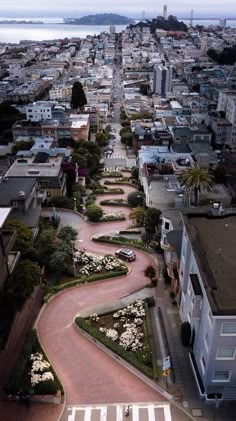 an aerial view of a city with lots of buildings and flowers in the foreground