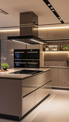 a modern kitchen with stainless steel appliances and counter tops, along with potted plants