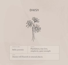 daisy flowers with the words daisy written below them