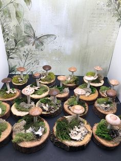 a table topped with lots of different types of mushrooms and moss growing on top of wooden slices