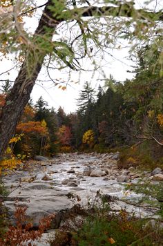 Fall in New Hampshire New Hampshire Autumn, Fall Hikes, England Aesthetic, Pennsylvania Travel, Scenic Railroads, Autumn Lake, New England Fall, Autumn Scenes