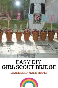 Girl Scout Bridging, Girl Scout Badges, Girl Scout Daisy, Girl Scout Activities, Scout Badges